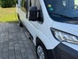 Malibu 640 Relax AHK Automatik - Galerie - Bild 3