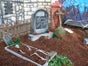 Halloween Friedhof - Galerie - Bild 4