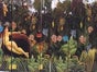 Dschungel Kulisse, Urwald, Regenwald, Tropen - Galerie - Bild 2