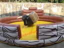 Bullriding, Bulle, Rodeo, Partyhighlight - Galerie - Bild 1