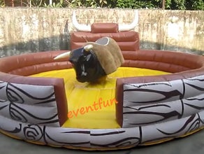 Bullriding, Bulle, Rodeo, Partyhighlight
