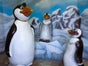 Pinguine- Südpol Diorama, Winterdekorationen, Winter - Galerie - Bild 4