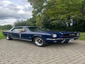 1966 Ford Mustang Oldtimer Hochzeitsauto für Fotos & Events