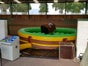 Bullriding Simulator, Rodeo mieten - Galerie - Bild 2