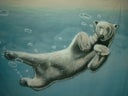 Eisbär Unterwasser Bühnenbilder