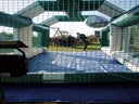 Fußball-Radar-Anlage