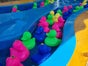 Enten angeln - Galerie - Bild 2