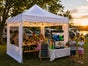 wasserdichter Falt Pavillon 3x3 m Festzelt Partyzelt - Galerie - Bild 3