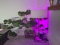 Outdoor Spot / Scheinwerfer / Beleuchtung - Galerie - Bild 3