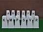 Dressurviereck 40x20 Meter mit Dressurbuchstaben - Galerie - Bild 2