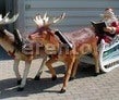Weihnachtsmann mit Rentieren und Schlitten,Weihnachtsmann,Weihnachten,Weihnachtsset,Weihnachtsfest,Weihnachtsgeschenk,Schlitten,Bescherung,Geschenke,Jesus,Christkind,Weihnachtsbaum,Veranstaltungsdekoration,Eventdekoration,Dekoration,Messe,Event,