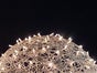 Leuchtende Kugeln - Riesenkugeln - Licht Kugeln - Licht Dekoration - Galerie - Bild 3