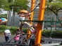 Kinder Niedrigseilgarten - Galerie - Bild 3