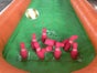 Soccer Bowling - Galerie - Bild 3