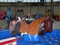 Rodeo Bull Riding - Galerie - Bild 3
