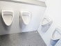 Toilettenwagen / Toilettenanhänger / VIP Toilette /  VIP für Backstage/Hochzeit/Geburtstag - Galerie - Bild 3