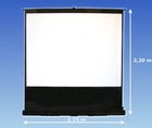 Easy Screen Leinwand 2,15m
