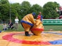 SUMO WRESTLING - Galerie - Bild 4