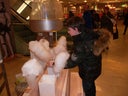 Zuckerwatte / Zuckerwattemaschine - Galerie - Bild 1
