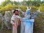 Halloween Grusel Animation - Lebende Statue - Gargoyle Statue - Galerie - Bild 4