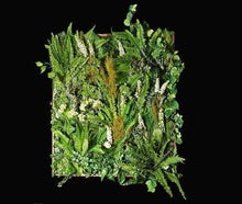 Pflanzenwand - Floral Wall Hanging