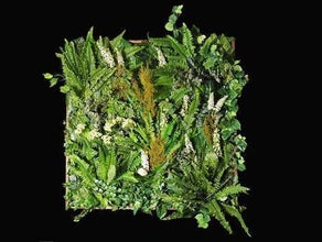 Pflanzenwand - Floral Wall Hanging