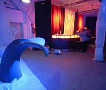 Flosse, Wal Flosse, Wasser, Meer, Fisch, Tier, Meerestier, UNterwasser