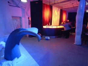 Flosse, Wal Flosse, Wasser, Meer, Fisch, Tier, Meerestier, UNterwasser