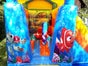 Hüpfburg für Kindergeburtstag während Corona 25% Nachlass - Galerie - Bild 3