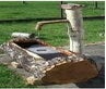 Brunnen, Dorfbrunnen, Holzbrunnen, Tränke, Alpen, Berge, Bauernhof