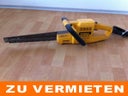 Alligatorsäge / Elektrofuchsschwanz