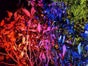 2x LED Movinlight / Movinghead,  Lichtanlage, Lichteffekt, Lichttechnik - Galerie - Bild 3