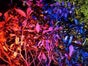 2x LED Movinlight / Movinghead, Lichtanlage, Lichteffekt, Lichttechnik - Galerie - Bild 3