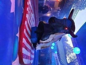 Western Bullriding - das Highlight auf Ihrem Kinderevent