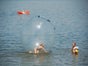 Aqua Kugeln, Wasser Kugel, Aqua Bälle, Wasser Bälle, Zorb Kugel - Galerie - Bild 2