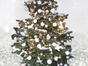 Geschmückter Weihnachtsbaum (leben) bis 3,50m Hollywood style - Galerie - Bild 2