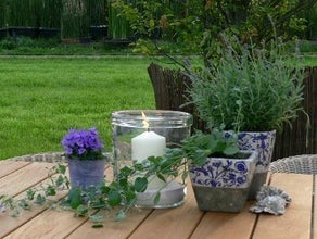 Blumen oder Kräuter im Kolonialvase