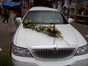 Stretchlimousine Lincoln TownCar als Hochzeitsfahrzeug - Galerie - Bild 2