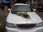 Stretchlimousine Lincoln TownCar als Hochzeitsfahrzeug - Galerie - Bild 2