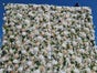 Pflanzenwand - Floral Wall Hanging - Rosenwand - Blumenwand - Galerie - Bild 2