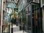 Lila Nashorn - Galerie - Bild 4