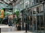Lila Nashorn - Galerie - Bild 4