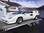 Autotransporter Anhänger - Galerie - Bild 2