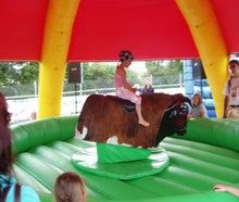 Bullriding / Rodeo Bulle / Bull-Riding