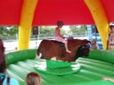 Bullriding / Rodeo Bulle / Bull-Riding - Galerie - Bild 1