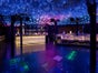 THE PEARL - Galerie - Bild 2