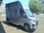 Pferdetransporter für 2 Pferde / Transporter / LKW für Pferde Pferdeanhänger - Galerie - Bild 2
