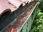 Dachrinnensauger Dachrinnenreinigung SKY VAC industrial 85 - Galerie - Bild 2