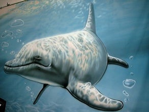 Delfin Unterwasser Bühnenbild