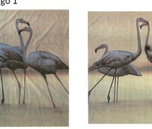 Flamingos Kulisse, Vogel